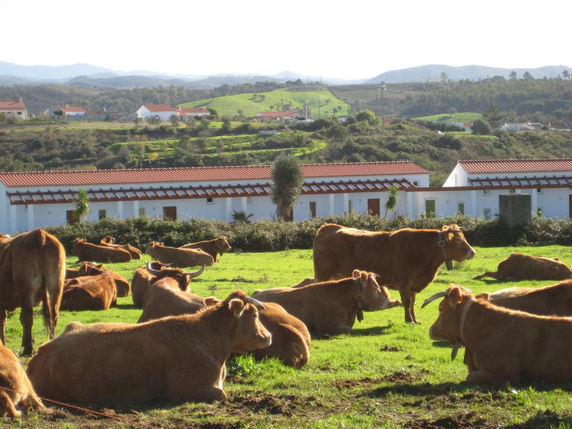 Апартаменти Quinta De Moledos Алжезур Екстер'єр фото
